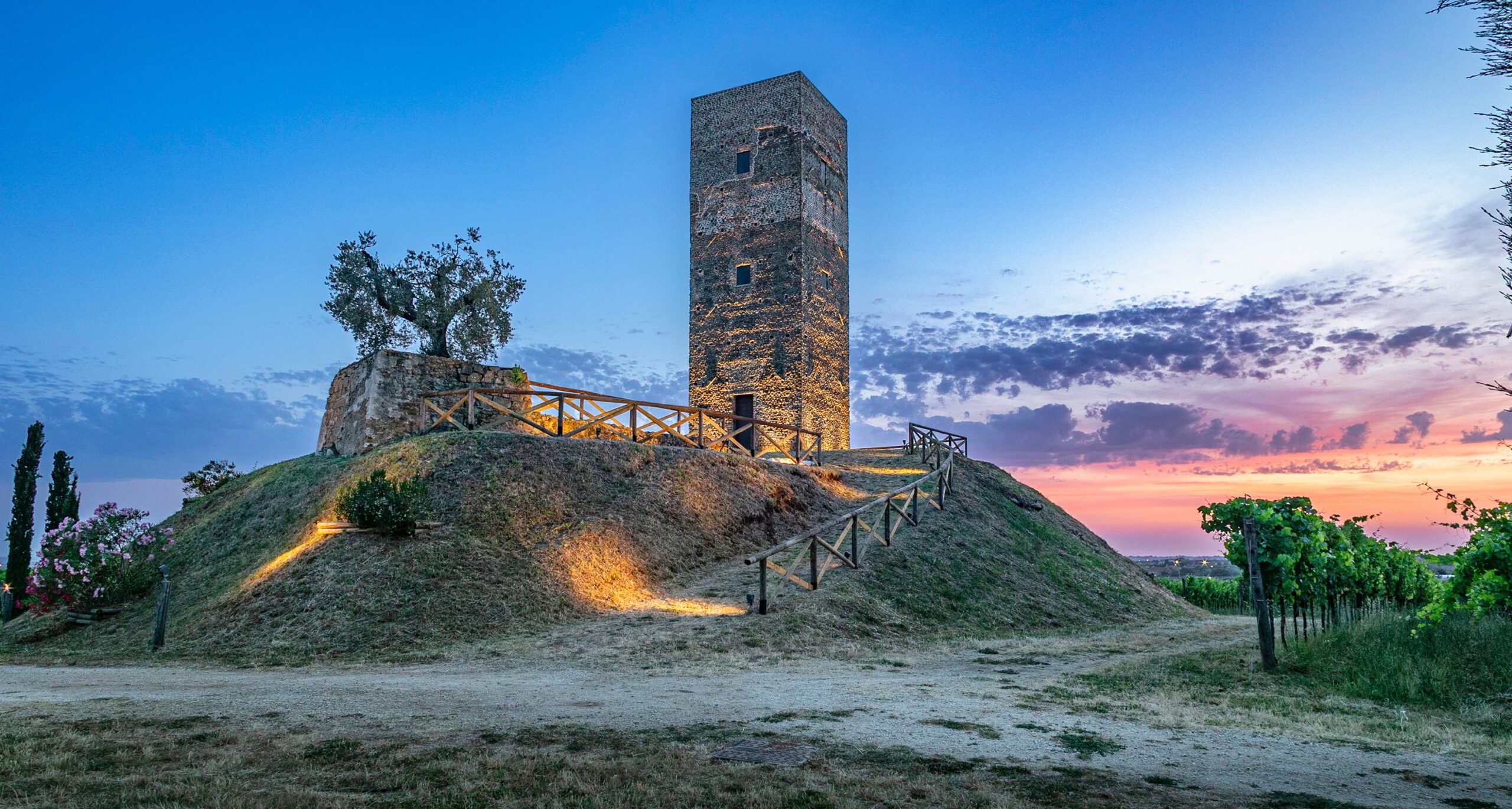 Renovation of Torre del Presciano and new cellar